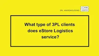 What type of 3PL clients does eStore Logistics service?