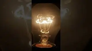 El Cerebro tiene la Energía suficiente para prender una lampara