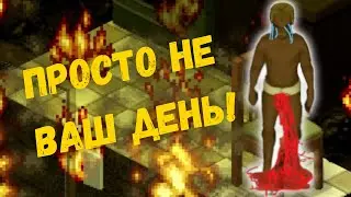 Как стартануть ПНВД. Project Zomboid