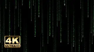 MATRIX RAIN CODE | Binary Code | 4k - 1h