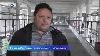 Рай для коров с теплыми стойлами и специальными чесалками скоро появится в Толвуе