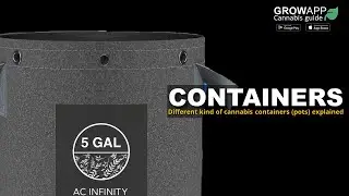 Different kind of cannabis containers explained