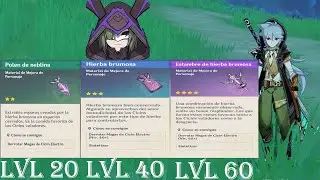 Localizaciones de Maga de Cicin Eletro| Recurso de Personajes| Genshin Impact