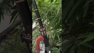 sgl 6065 bi-color dragon sword