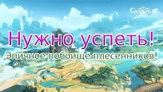 Халявная Дори! Нужно успеть! - Genshin Impact  Стрим
