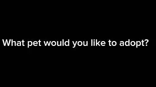 Question for everyone #54