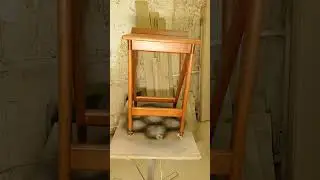 барный табурет. дуб.