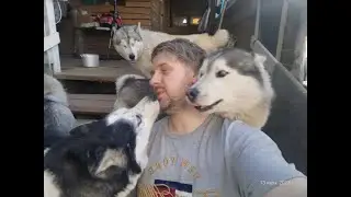 открываем посылки и проводим тихий вечер без драк