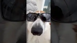 Фотошоп или реальное фото? #shorts