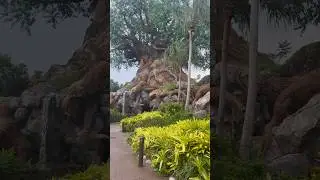 #disney #animalkingdom