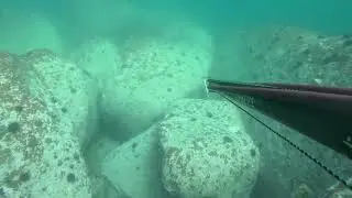 Мазила года