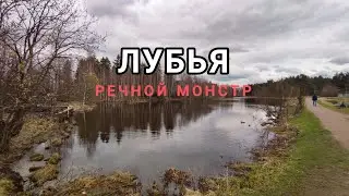 РЕКА ЛУБЬЯ 2024 | РЕБЯТА ПОЙМАЛИ КРОКОДИЛА | Я И НЕ ДУМАЛ ЧТО ЕСТЬ ТАКИЕ ТУТ ЩУКИ МОСТРЫ