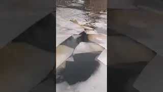 Нежданчик 🤡 Рыбаки приехали на рыбалку, а там... #shorts  #рыбалка #зима