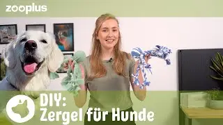 Zergel für Hunde selber machen | Einfache Anleitung | DIY für Hunde