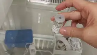 Ботокс, гиалуроновая кислота, мезотерапии для омолаживания кожи рук.