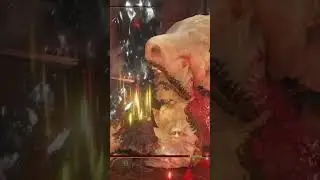 Elden Ring Great Mace Builds 