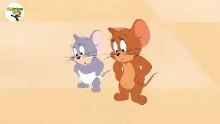 Tom and jerry bangla || ডিমের জন্য মুরগির সাথে যুদ্ধ || তারপর ঘটলো চমৎকার