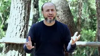 الأنشودة المقدسية 
