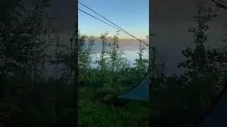 Red throated-divers singing in the north of Sweden