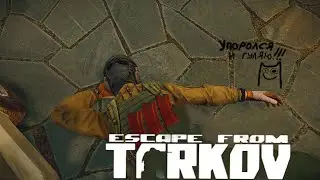 Вот и аренка !!!