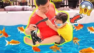 BERENANG BARENG IKAN DI KOLAM RENANG, KOK TAKUT ? | CnX Adventurers