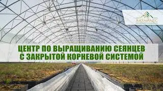 Лесосеменной центр