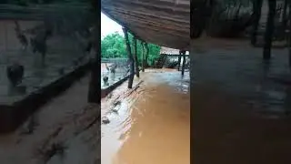 Chuva destrói cocheira