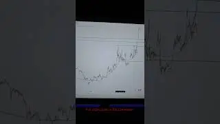 Dogecoin Accurate Price Prediction and Technical Analysis 
