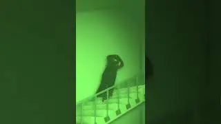 This infinite backrooms staircase will give you CHILLS #roblox #shorts