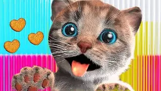 MY LITTLE KITTEN ADVENTURE OF A LITTLE KITTEN  Best Learning cartoons Videos for babies 