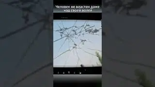 Нету воли SQUAD