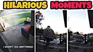 Hilarious Fails Caught On Camera 🤣