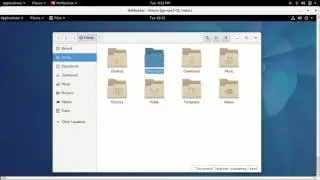 Fedora Droplet over ZeroTier