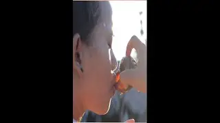 Catching snail in my field near my house#short