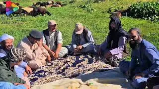 ویدیو جالب و خنده دار جمع از دوستان و سفر چهارکنید