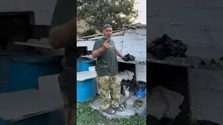 Курт