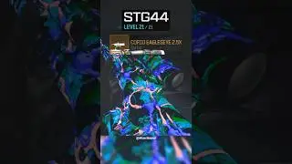 New Best No Recoil Warzone AR!! STG44 Meta Loadout!!! 