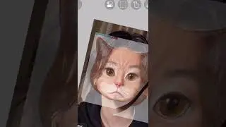 Yoongi+Cat🤭🥰💜 #bts #yoongi #suga