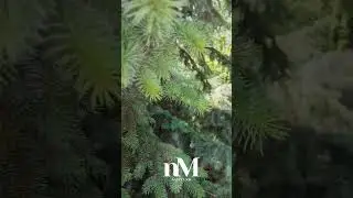 О силе  Бога  