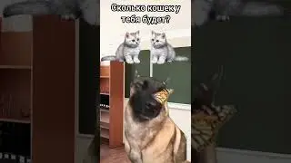 #youtube #рекомендации #популярное #юмор #тренды 📈 😏😸👌