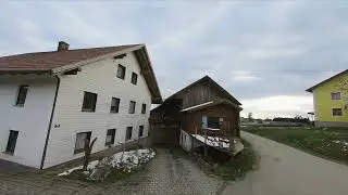 baby crocodile 4lr naked gopro 6