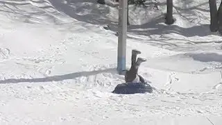 Девушка разбивается на тюбинге об электростолб!!!