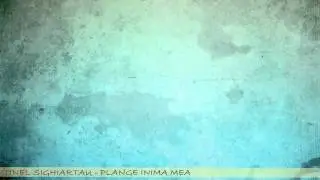 Tinel Sighiartau - Plange inima mea (lyrics)