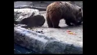 помоги утопающему