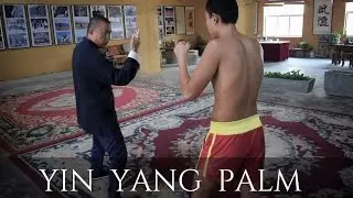 Shaolin Xinyiba - Yin Yang palm (combat skill)