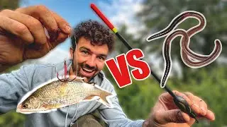 Köderfisch vs. Wurm 🤯 The River Vlog Folge 44