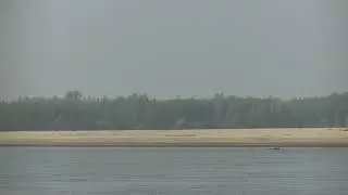 река Чулым  август 2019 3