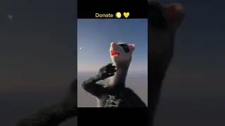 Ferret eats a hare