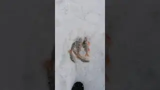 Рыбалка и природа ч.1