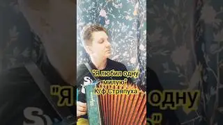 Я любил одну милую - к/ф Стряпуха на гармони 